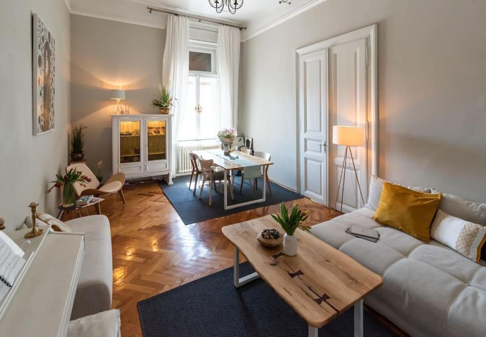 No.8: Lovely & Cosy 3-Room Heart Of The City Temesvár Kültér fotó